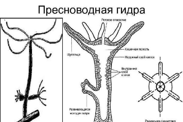 Кракен наркоман