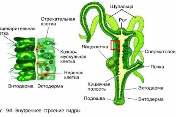 Кракен at сегодня работает ли